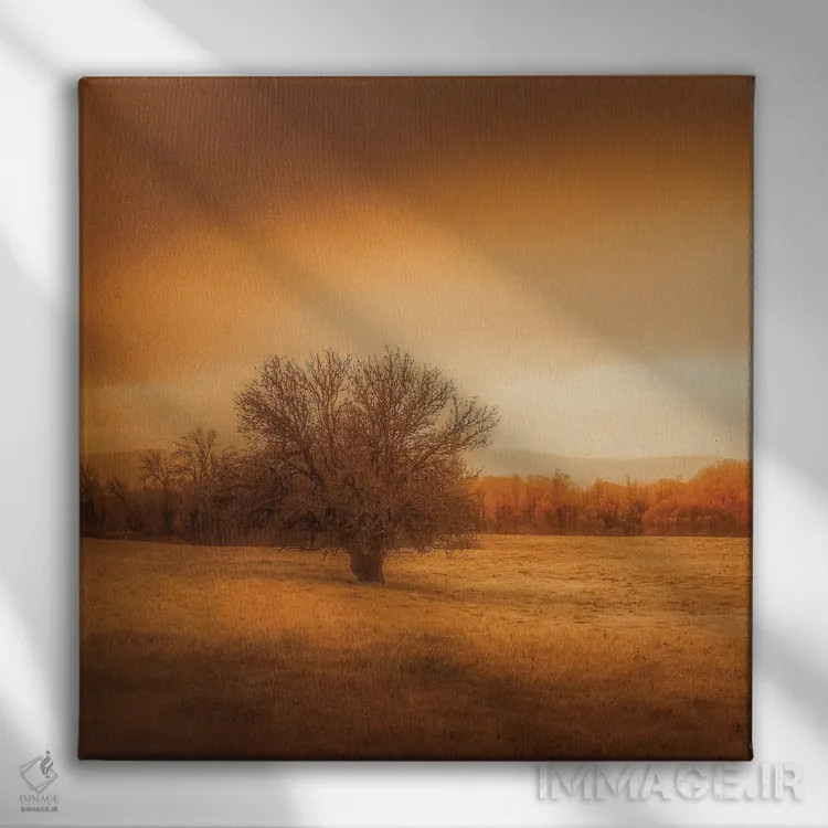 تابلو درخت تنها در مزرعه اثر دان شوارتز - نمای روبهرو روی دیوار