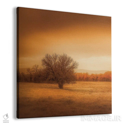 تابلو درخت تنها در مزرعه اثر دان شوارتز - نمای پرسپکتیو محصول