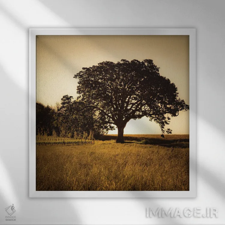 تابلو باشکوه اثر دان شوارتز - نمای قابدار سفید