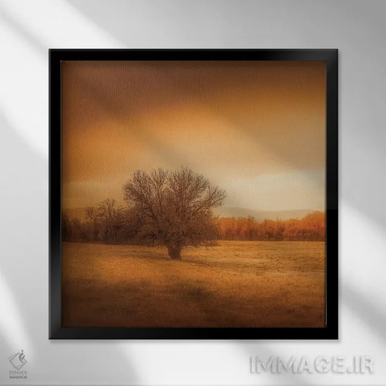 تابلو درخت تنها در مزرعه اثر دان شوارتز - نمای قابدار مشکی