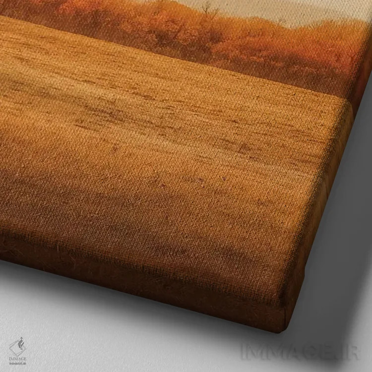 تابلو درخت تنها در مزرعه اثر دان شوارتز - نمای نزدیک بافت بوم