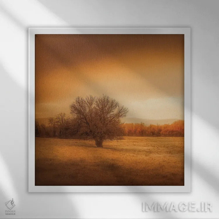 تابلو درخت تنها در مزرعه اثر دان شوارتز - نمای قابدار سفید
