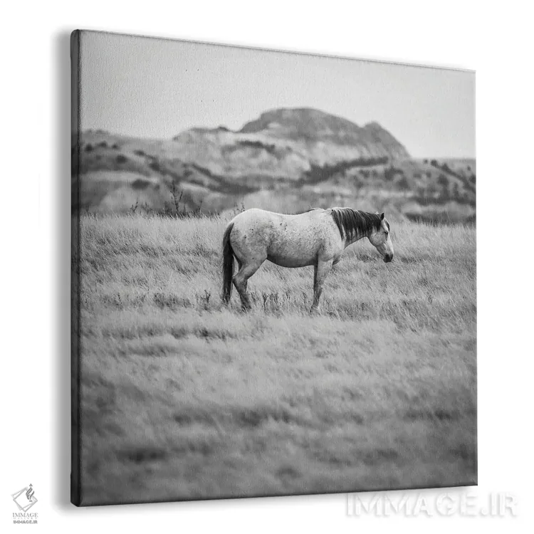 تابلو اسب وحشی در بدلندز اثر دن اسپرول - نمای پرسپکتیو محصول