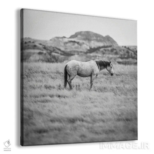 تابلو اسب وحشی در بدلندز اثر دن اسپرول - نمای پرسپکتیو محصول
