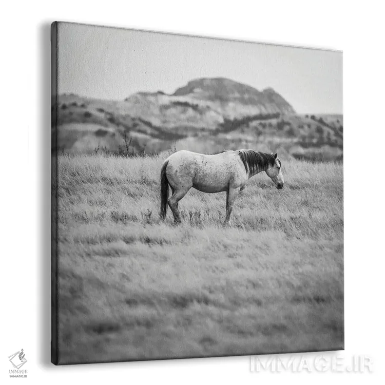 تابلو اسب وحشی بدلندز اثر دن اسپرول - نمای پرسپکتیو محصول