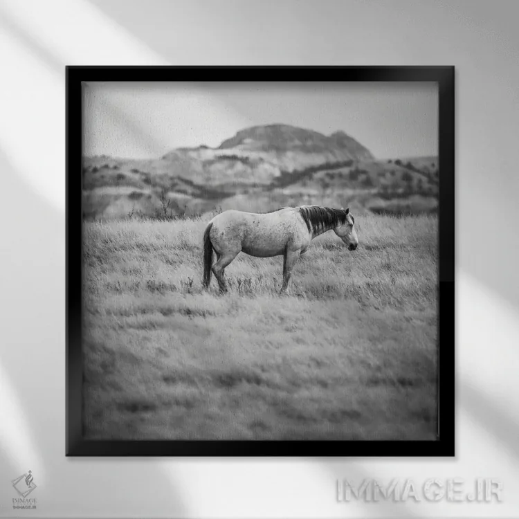 تابلو اسب وحشی در بدلندز اثر دن اسپرول - نمای قابدار مشکی