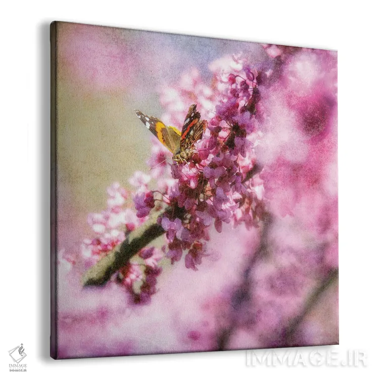 تابلو پروانه روی شکوفههای بهاری اثر دن اسپرول - نمای پرسپکتیو محصول