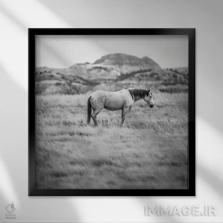 تابلو اسب وحشی بدلندز اثر دن اسپرول - نمای قابدار مشکی