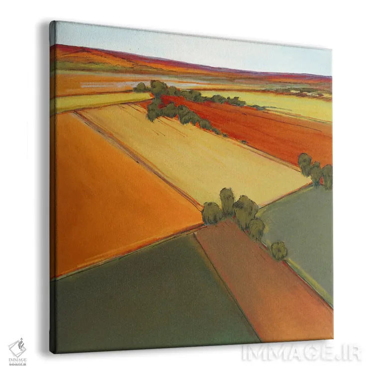 تابلو مزرعه باز سه اثر دان بردشا - نمای پرسپکتیو محصول