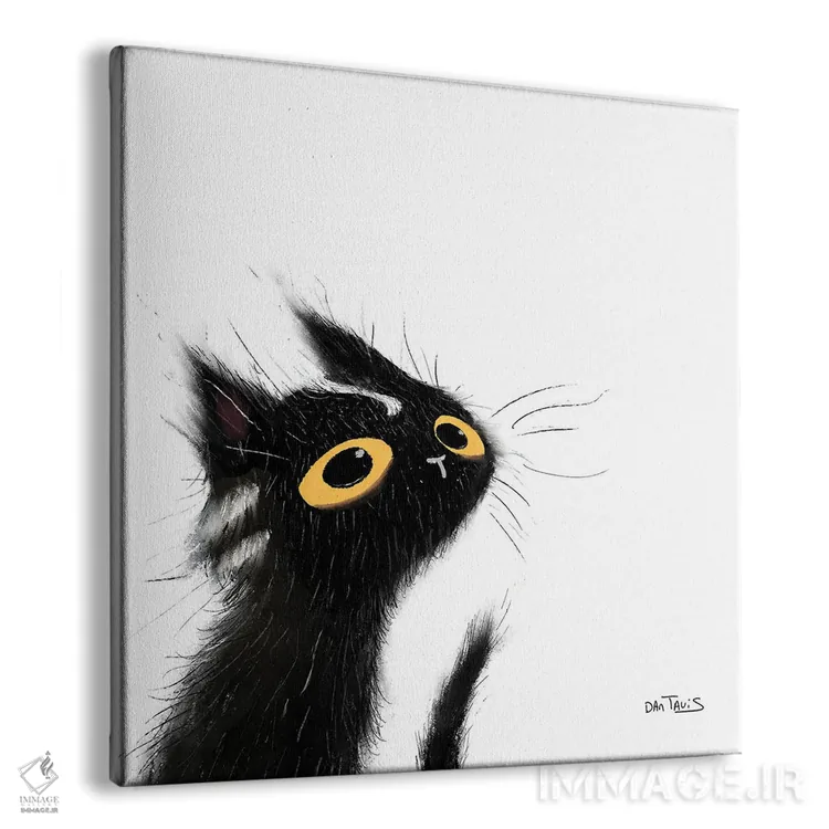 تابلو گربه سیاه بازیگوش اثر دن تاویس - نمای پرسپکتیو محصول