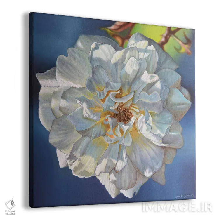 تابلو رز سفید اثر دکوتا دیتویلر - نمای پرسپکتیو محصول