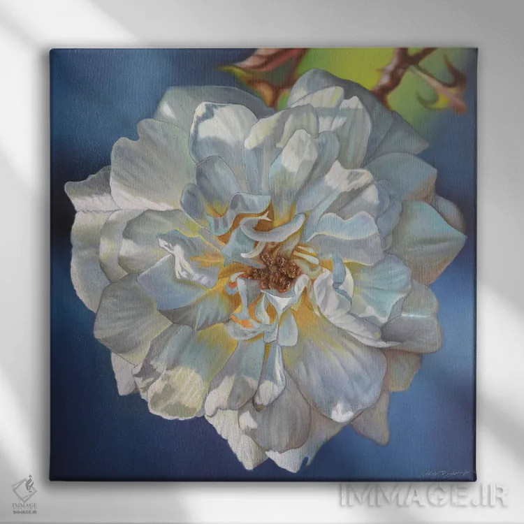 تابلو رز سفید اثر دکوتا دیتویلر - نمای روبهرو روی دیوار
