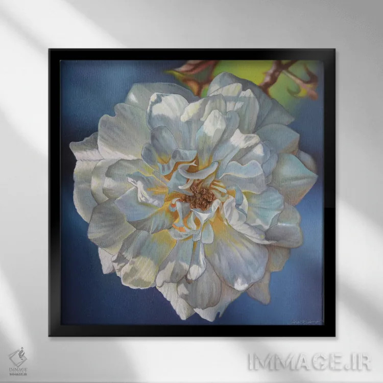 تابلو رز سفید اثر دکوتا دیتویلر - نمای قابدار مشکی