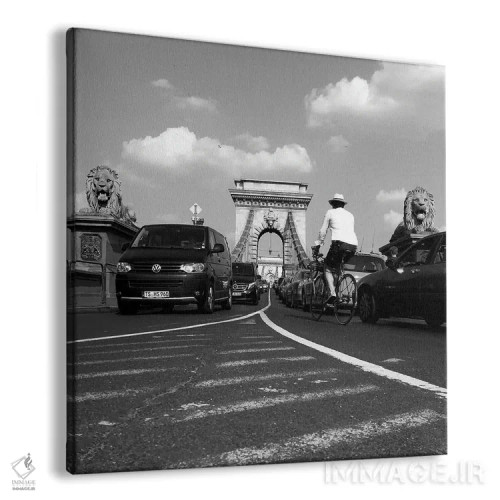 تابلو دالاس اثر آمادئوس لانگ - نمای پرسپکتیو محصول