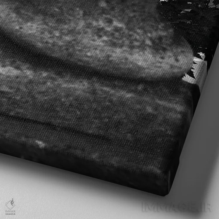 تابلو رویایت را دنبال کن اثر آمادئوس لانگ - نمای نزدیک بافت بوم