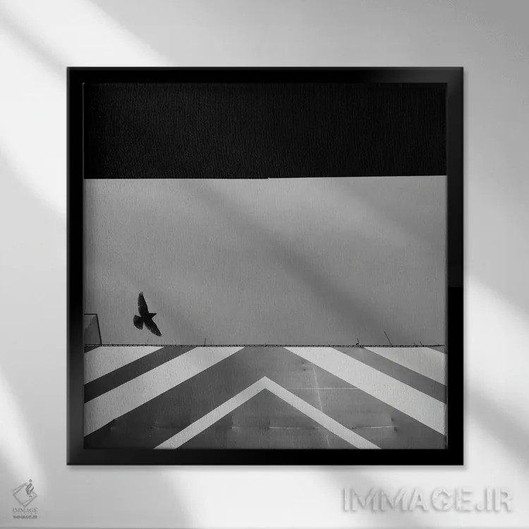 تابلو تمرکز کن اثر آمادئوس لانگ - نمای قابدار مشکی