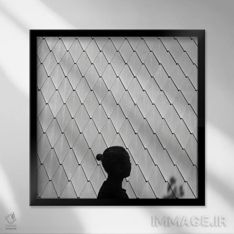 تابلو امروز را لذت ببر اثر آمادئوس لانگ - نمای قابدار مشکی