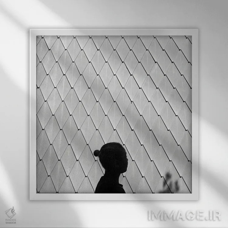 تابلو امروز را لذت ببر اثر آمادئوس لانگ - نمای قابدار سفید