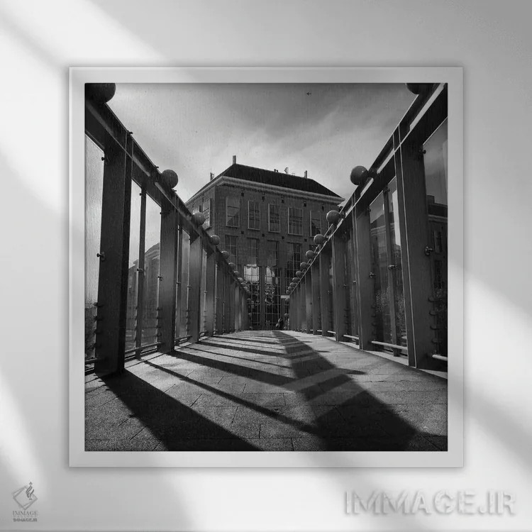 تابلو کاوش کن اثر آمادئوس لانگ - نمای قابدار سفید