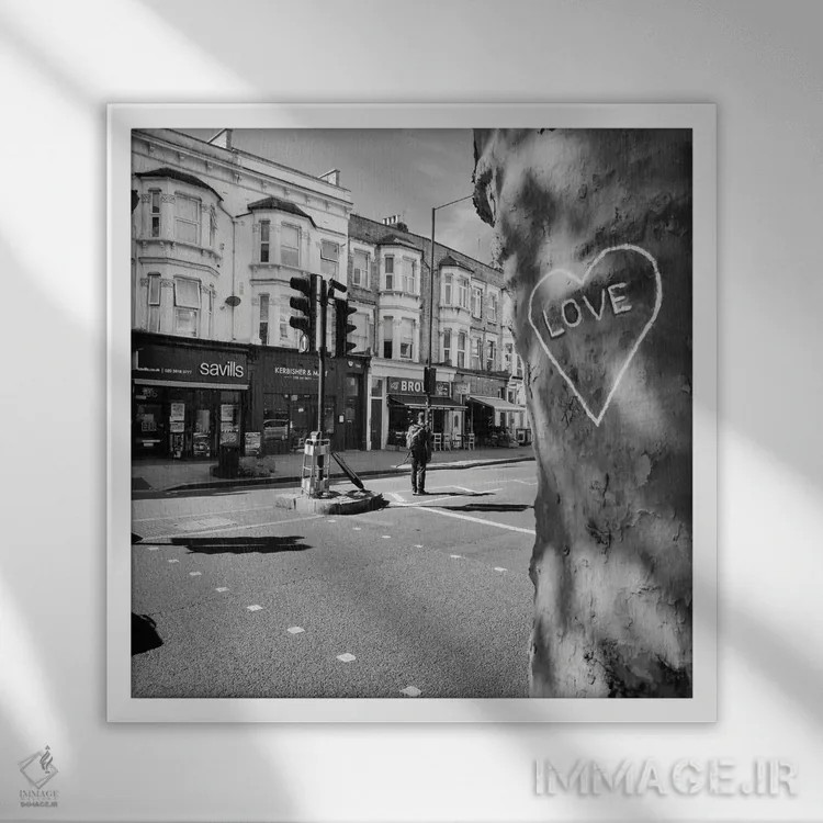 تابلو شدید تلاش کن اثر آمادئوس لانگ - نمای قابدار سفید