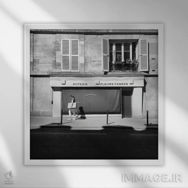 تابلو تلاش و کوشش اثر آمادئوس لانگ - نمای قابدار سفید