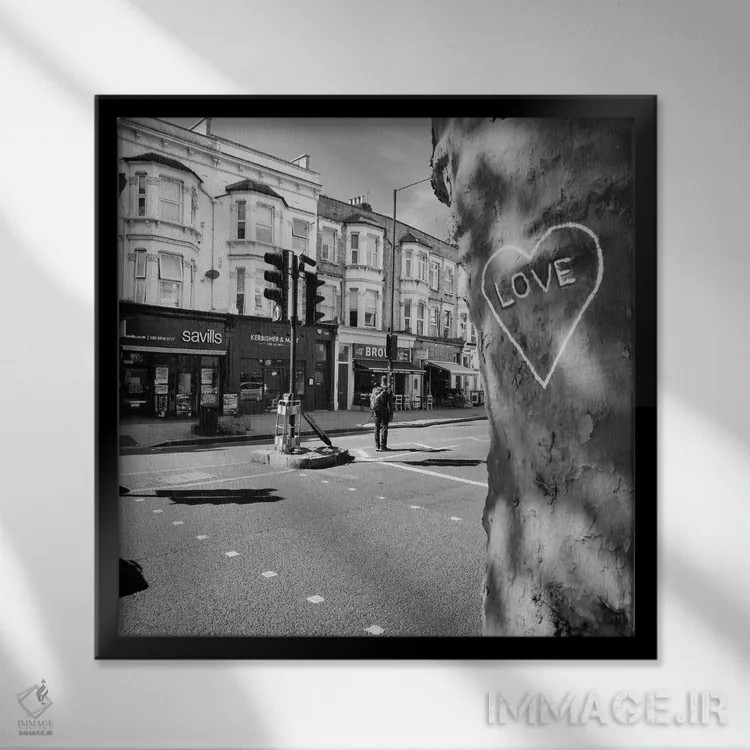 تابلو شدید تلاش کن اثر آمادئوس لانگ - نمای قابدار مشکی