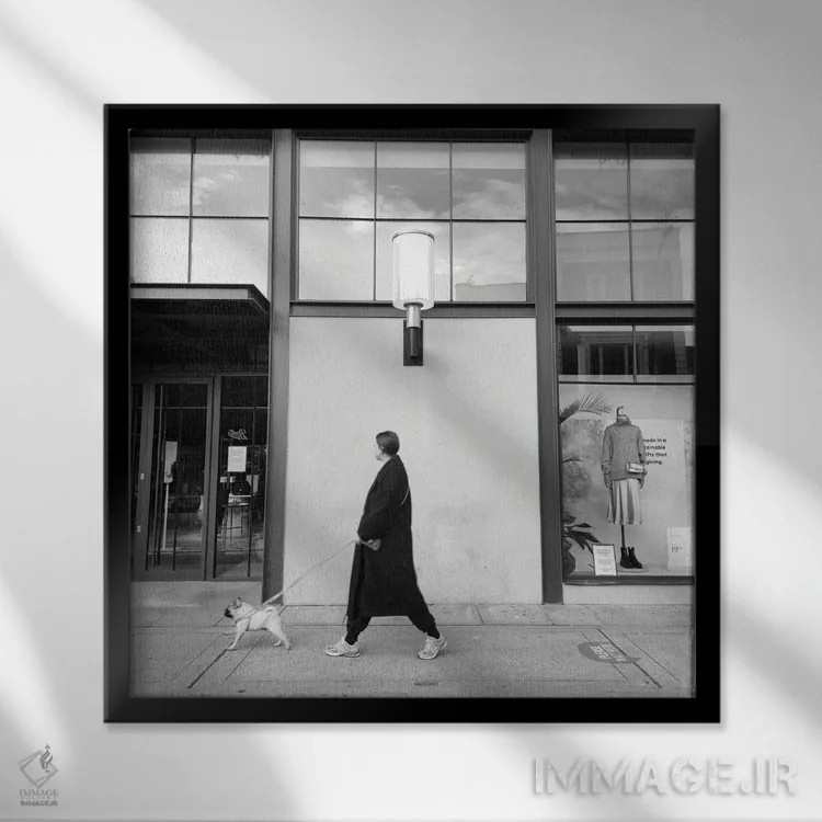 تابلو بخند اثر آمادئوس لانگ - نمای قابدار مشکی