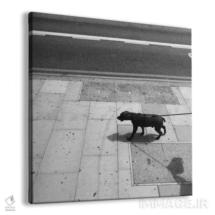 تابلو سیاتل اثر آمادئوس لانگ - نمای پرسپکتیو محصول