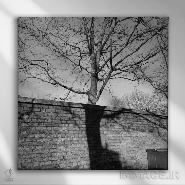 تابلو اسلو اثر آمادئوس لانگ - نمای روبهرو روی دیوار