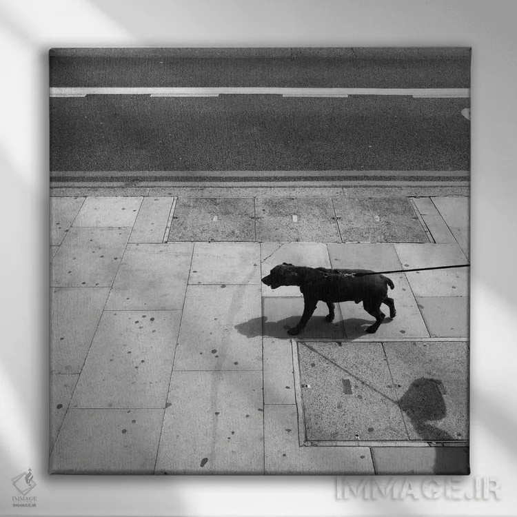 تابلو سیاتل اثر آمادئوس لانگ - نمای روبهرو روی دیوار