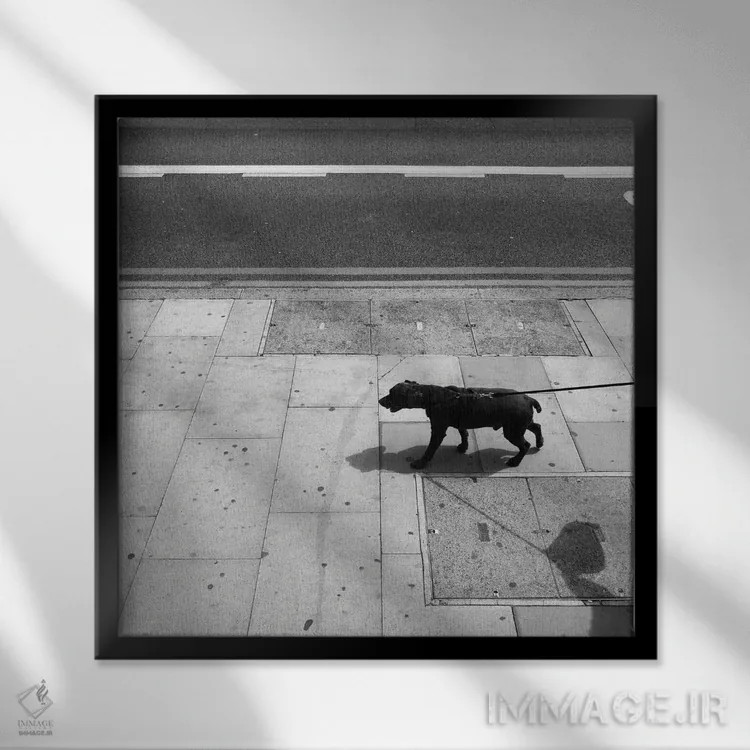 تابلو سیاتل اثر آمادئوس لانگ - نمای قابدار مشکی