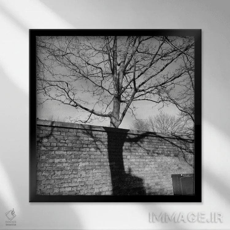 تابلو اسلو اثر آمادئوس لانگ - نمای قابدار مشکی