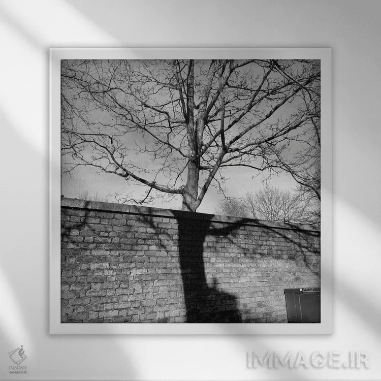 تابلو اسلو اثر آمادئوس لانگ - نمای قابدار سفید