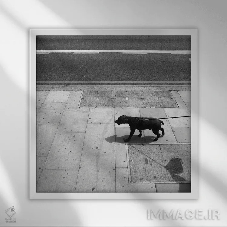 تابلو سیاتل اثر آمادئوس لانگ - نمای قابدار سفید