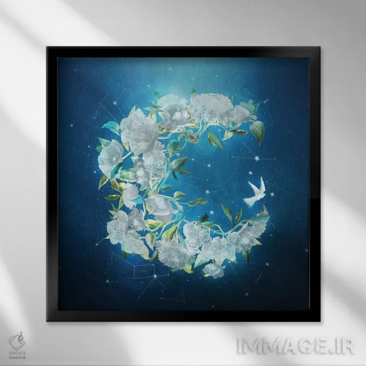 تابلو گلهای نور ماه اثر دیوگو وریسیمو - نمای قابدار مشکی