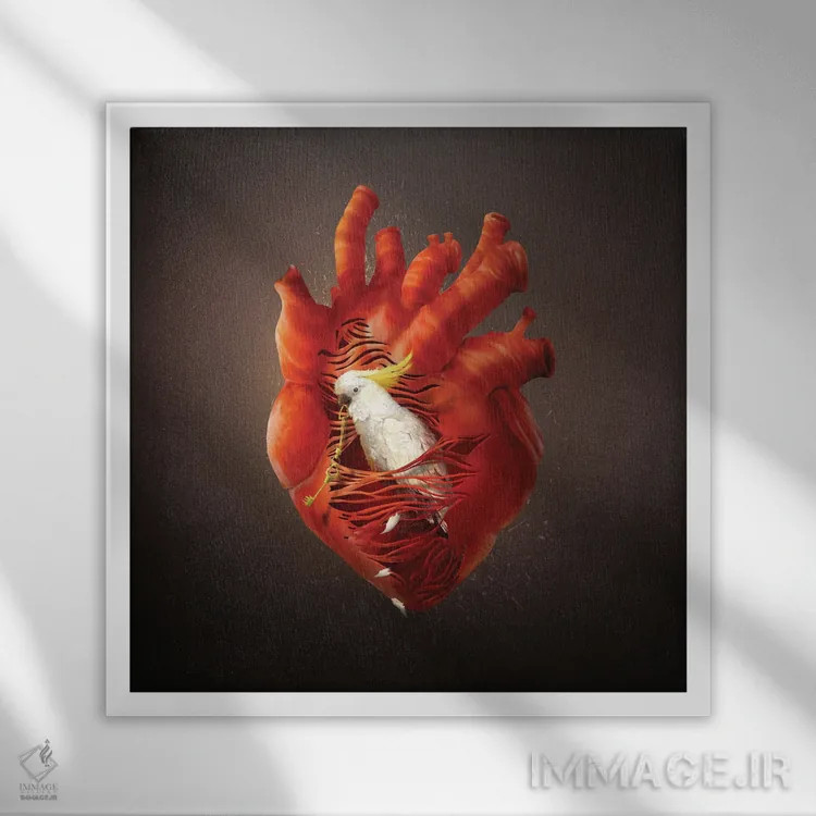 تابلو قلبی که میگشاید اثر دیوگو وریسیمو - نمای قابدار سفید