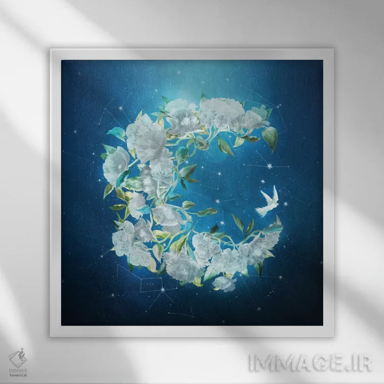 تابلو گلهای نور ماه اثر دیوگو وریسیمو - نمای قابدار سفید