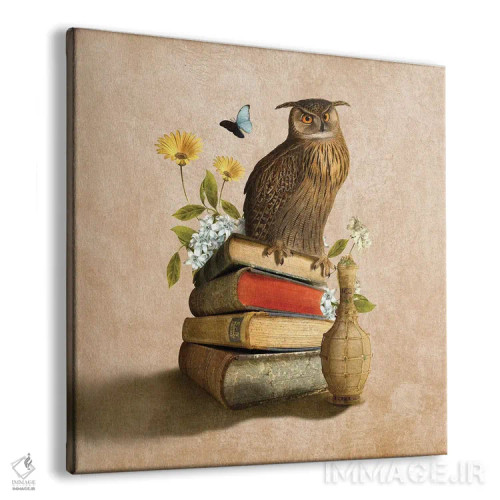 تابلو جغد دانا اثر دیوگو وریسیمو - نمای پرسپکتیو محصول