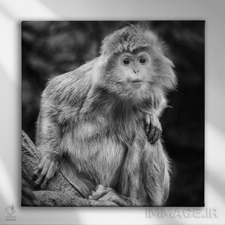 تابلو کنجکاو اثر دیوید گارباورر - نمای روبهرو روی دیوار