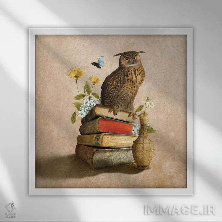 تابلو جغد دانا اثر دیوگو وریسیمو - نمای قابدار سفید