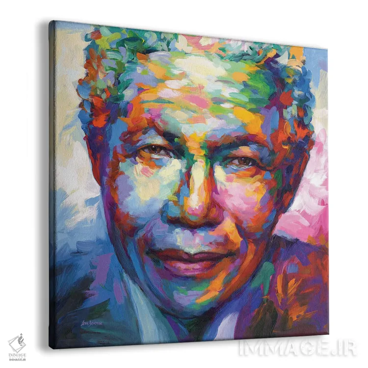 تابلو نلسون ماندلا اثر لئون دوونیس - نمای پرسپکتیو محصول