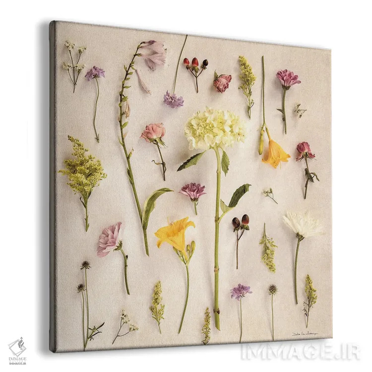 تابلو گلهای کلبهای ۲ (بدون صدف) اثر دبرا ون سوارینجن - نمای پرسپکتیو محصول