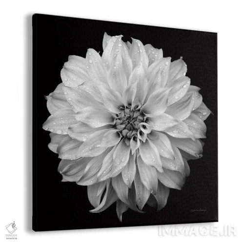 تابلو کوکب ۴ (سیاه و سفید) اثر دبرا ون سوارینجن - نمای پرسپکتیو محصول