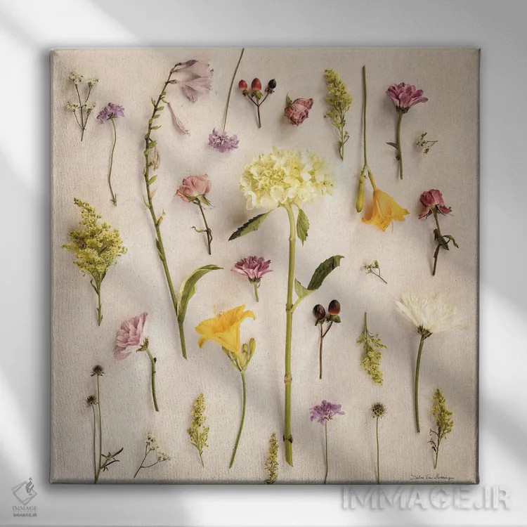تابلو گلهای کلبهای ۲ (بدون صدف) اثر دبرا ون سوارینجن - نمای روبهرو روی دیوار