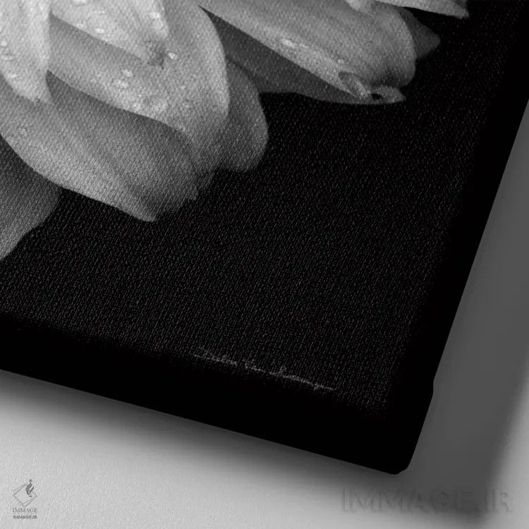 تابلو کوکب ۴ (سیاه و سفید) اثر دبرا ون سوارینجن - نمای نزدیک بافت بوم