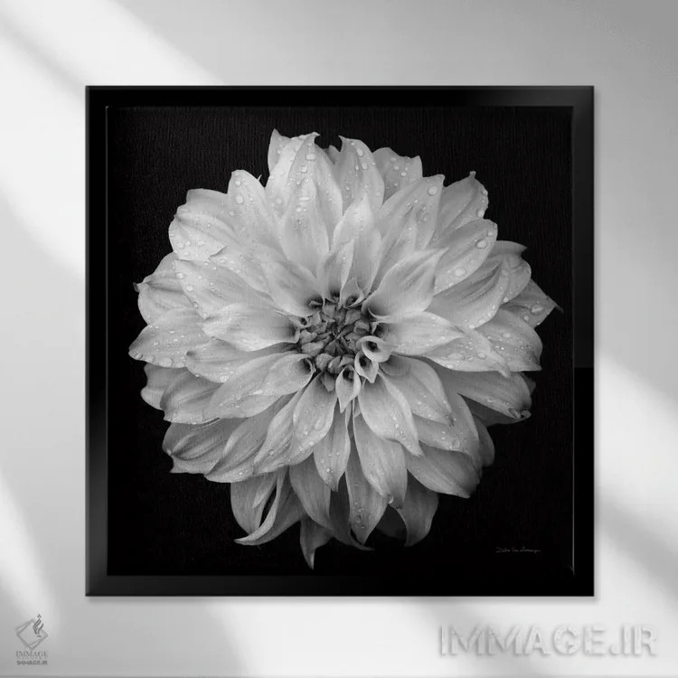 تابلو کوکب ۴ (سیاه و سفید) اثر دبرا ون سوارینجن - نمای قابدار مشکی