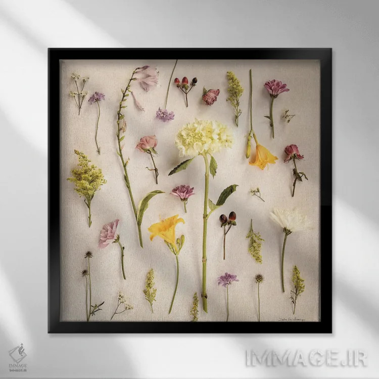 تابلو گلهای کلبهای ۲ (بدون صدف) اثر دبرا ون سوارینجن - نمای قابدار مشکی