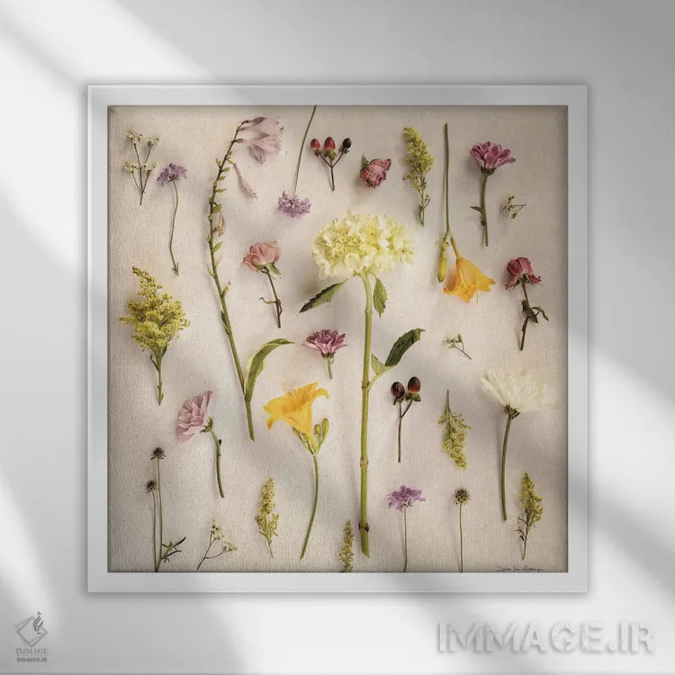 تابلو گلهای کلبهای ۲ (بدون صدف) اثر دبرا ون سوارینجن - نمای قابدار سفید