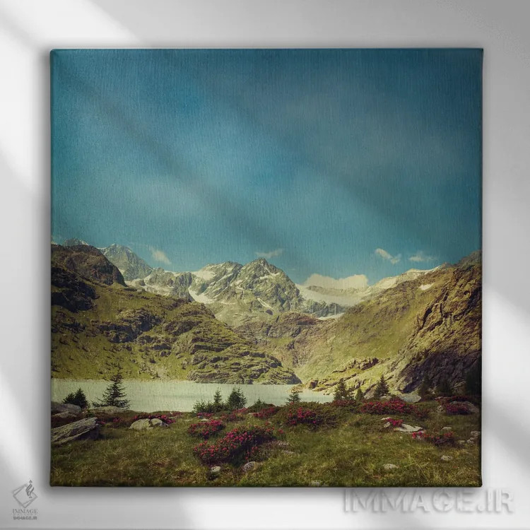 تابلو مرا به کوهها ببر ۲ اثر دیرک وستنهاگن - نمای روبهرو روی دیوار