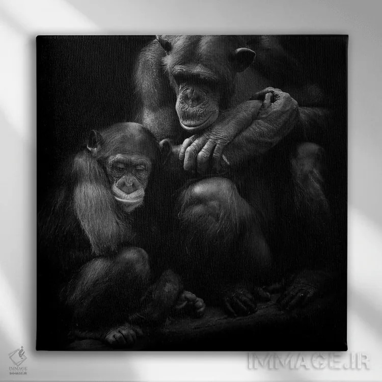 تابلو خانواده شامپانزه اثر دیوید وولَن - نمای روبهرو روی دیوار